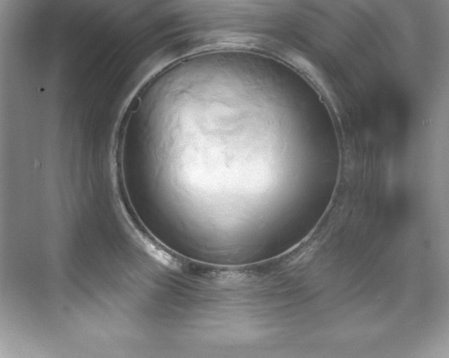X0000076221235200609281104