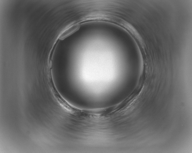 X0000076221242200609281104