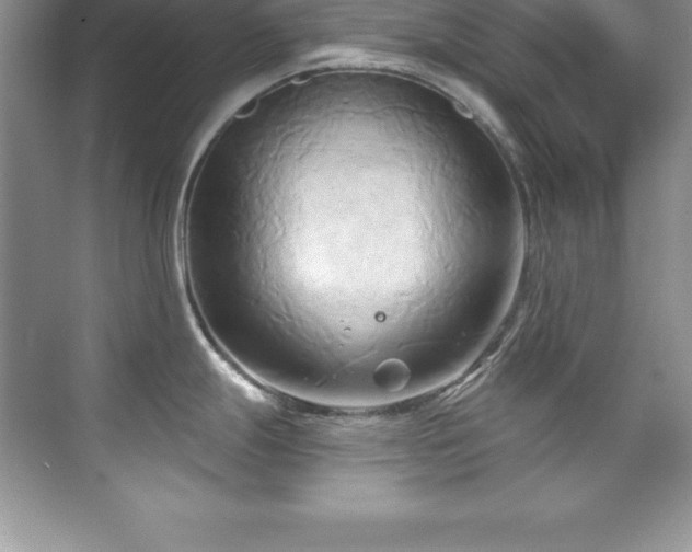 X0000076221247200609281104