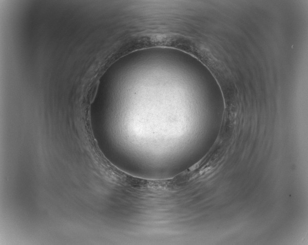 X0000076221249200609281103