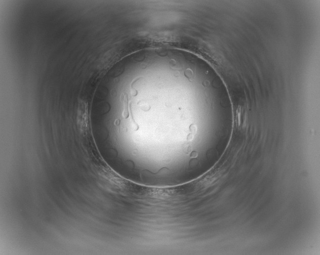 X0000076221251200609281103