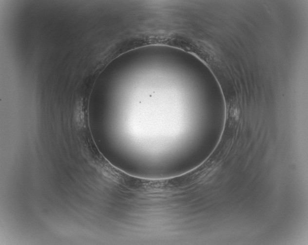 X0000076221252200609281103
