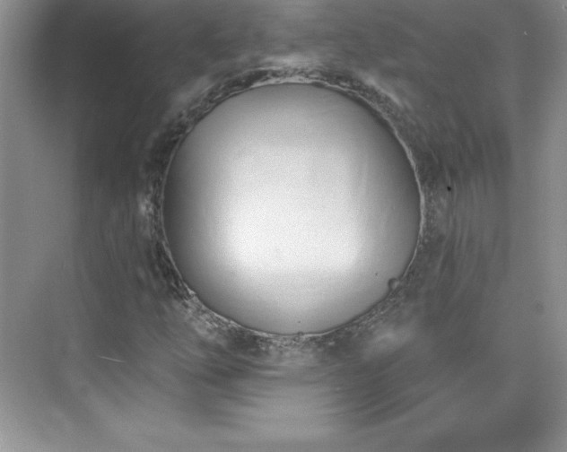 X0000076221254200609281103