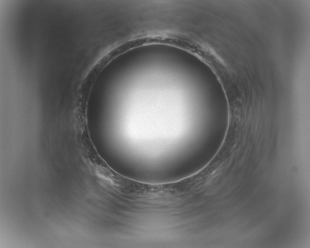 X0000076221256200609281103