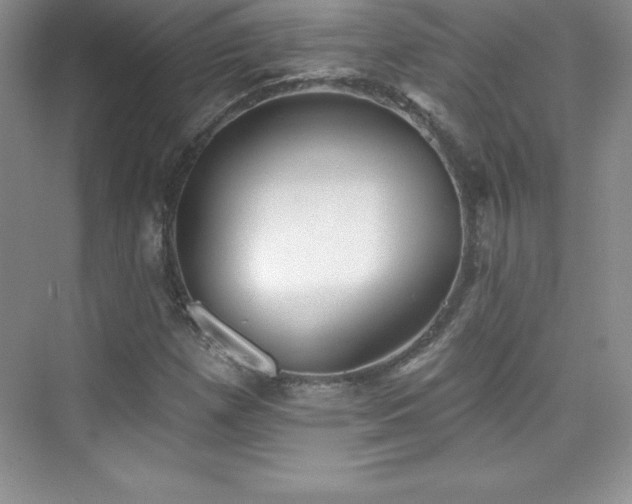 X0000076221257200609281103