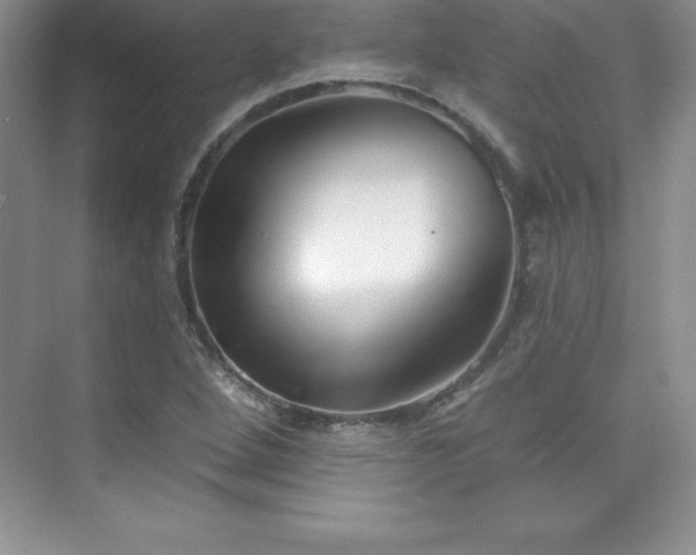 X0000076221264200609281103