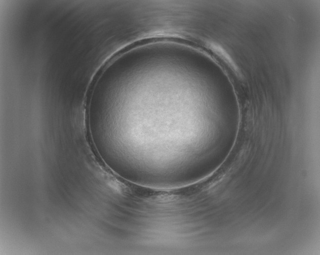 X0000076221268200609281103