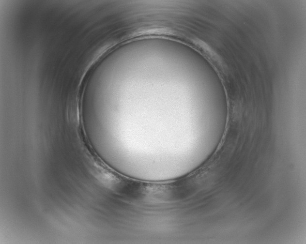 X0000076221274200609281103
