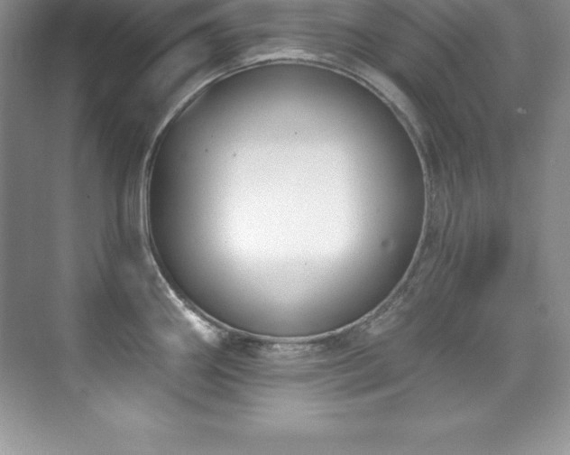 X0000076221290200609281103