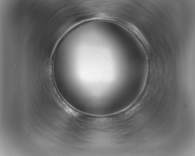 X0000076221292200609281103