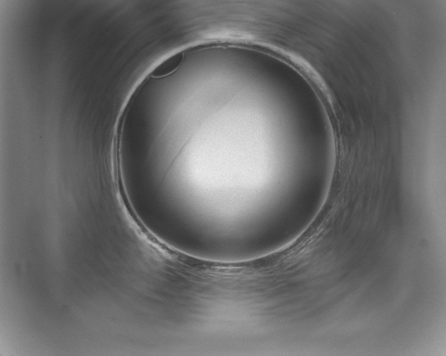 X0000076221295200609281103