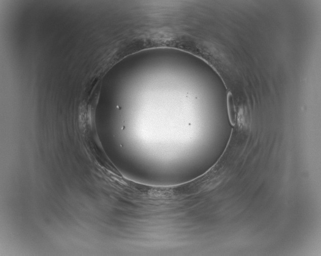 X0000076221299200609281102