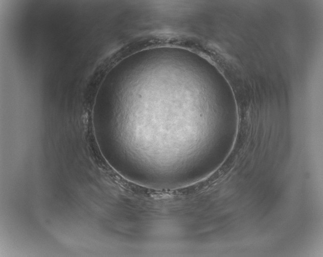 X0000076221302200609281102