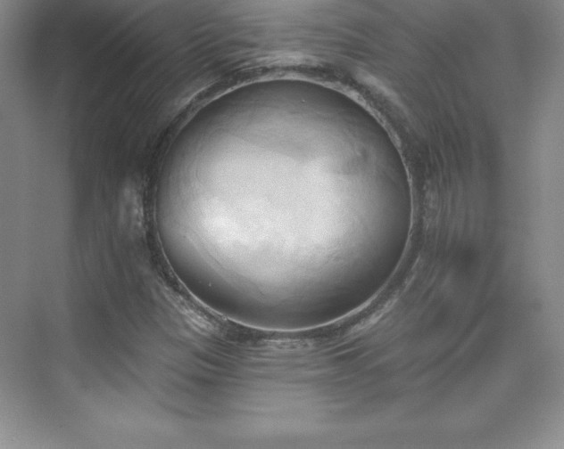 X0000076221305200609281102