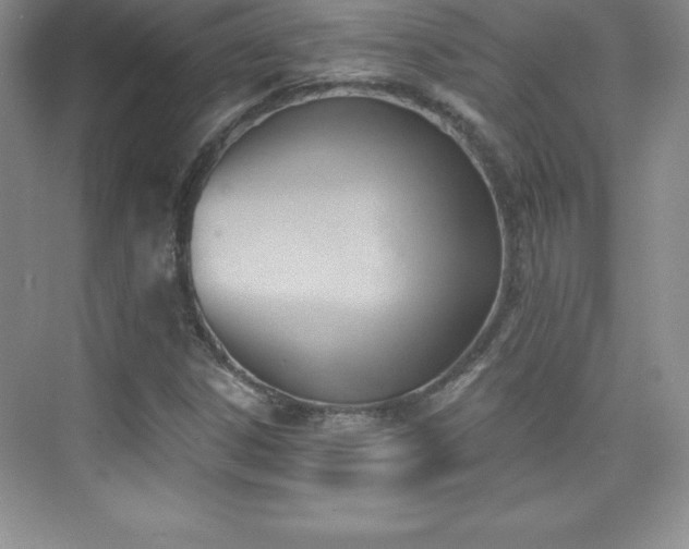 X0000076221306200609281102