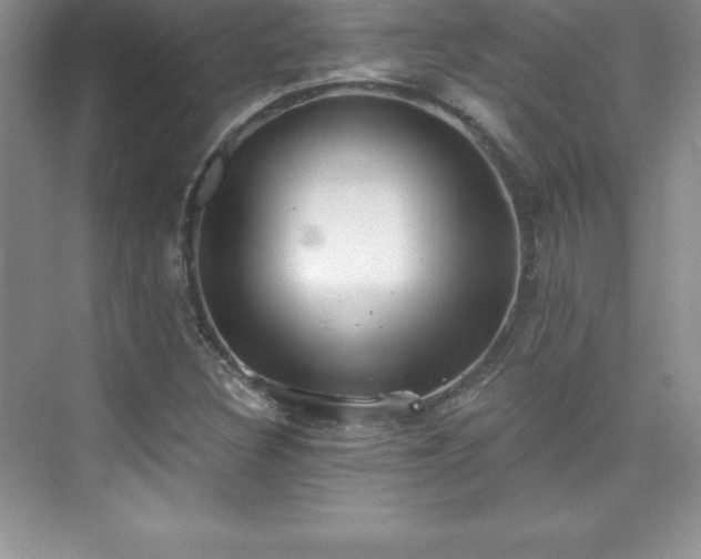 X0000076221308200609281102