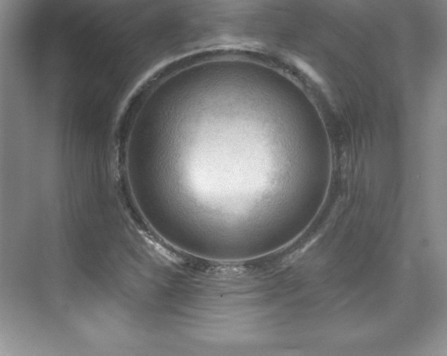 X0000076221310200609281102