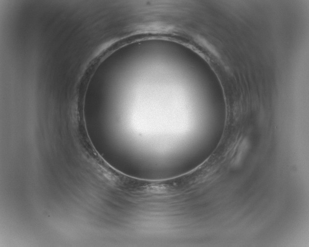 X0000076221315200609281102