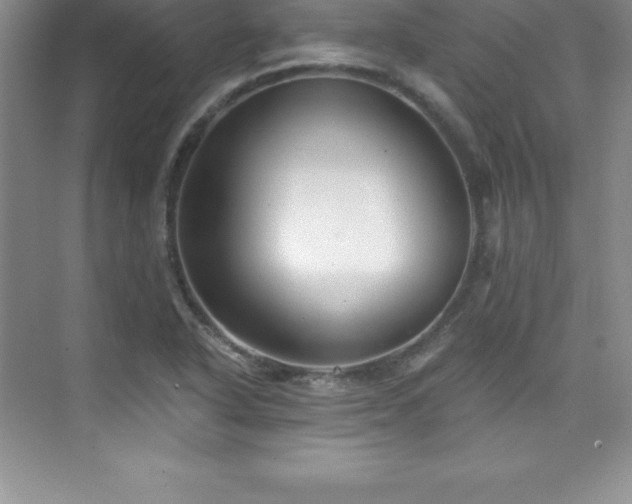 X0000076221318200609281102