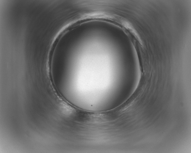 X0000076221328200609281102