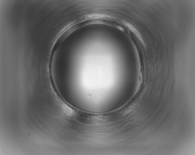 X0000076221330200609281102