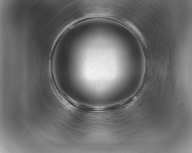 X0000076221340200609281103