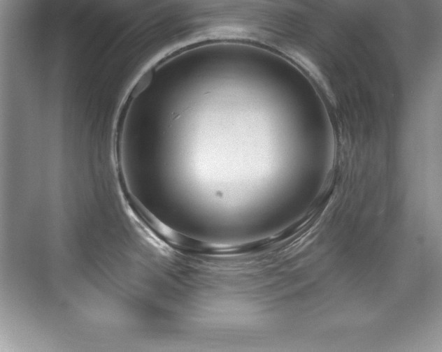 X0000076221342200609281103