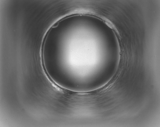 X0000076221343200609281103