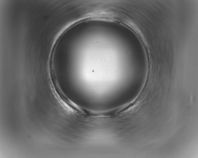 X0000076221344200609281103