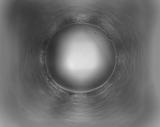 X0000076221346200609281102