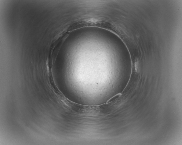 X0000076221347200609281102