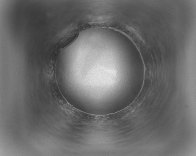 X0000076221350200609281102