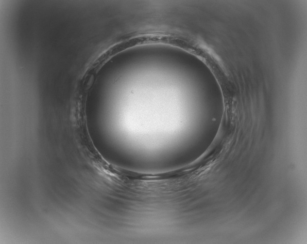 X0000076221352200609281102