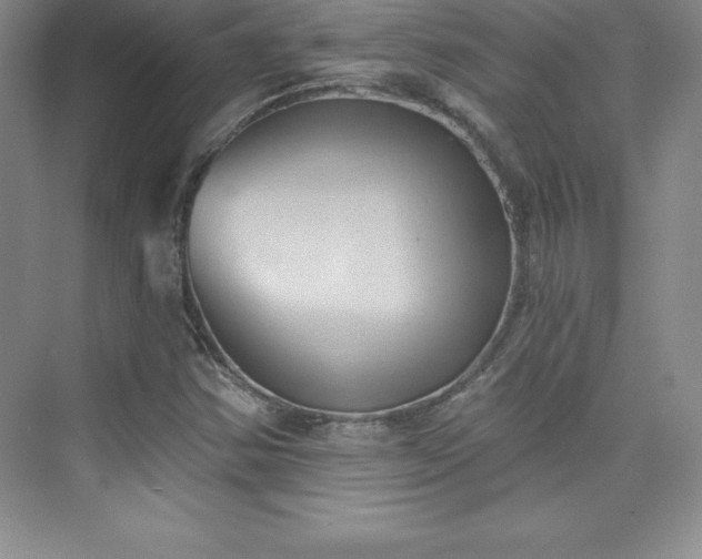 X0000076221354200609281102