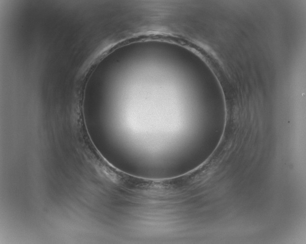 X0000076221359200609281102