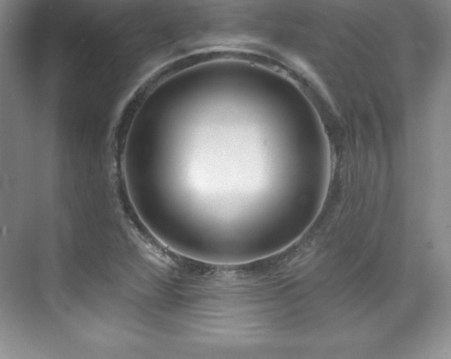 X0000076221360200609281102