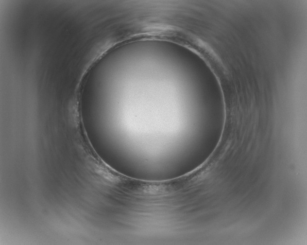 X0000076221362200609281102