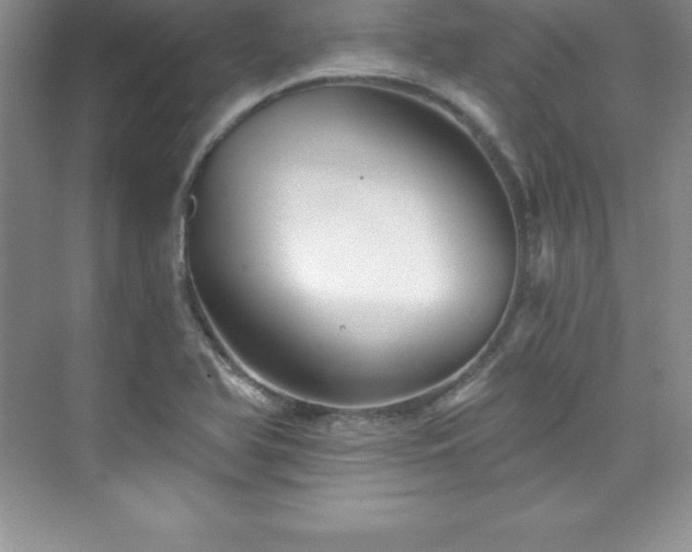 X0000076221366200609281101