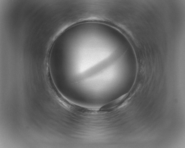 X0000076221367200609281101