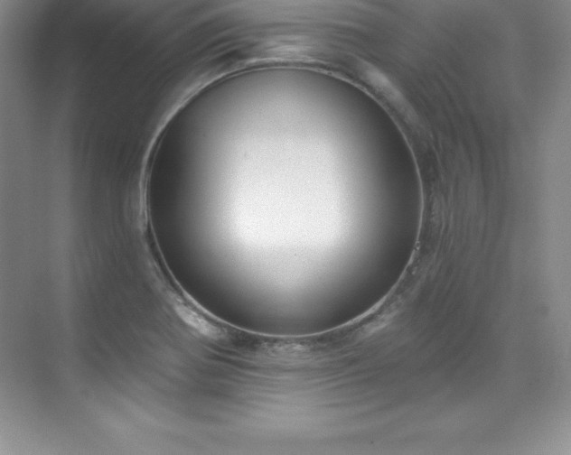 X0000076221370200609281101