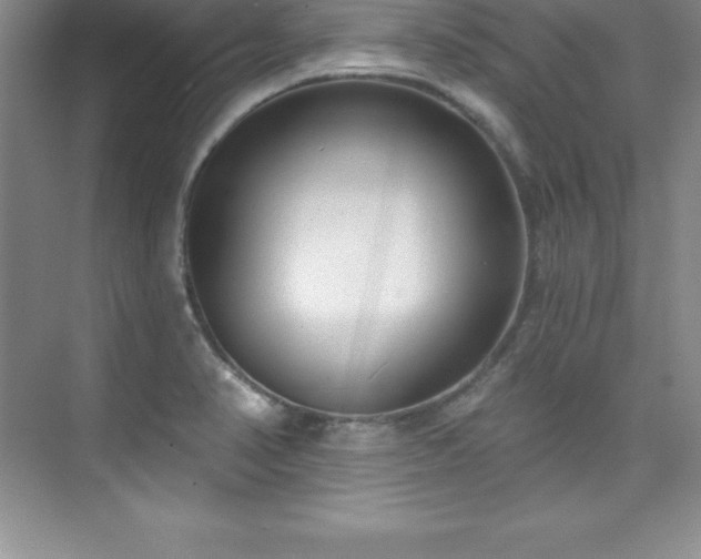 X0000076221374200609281101