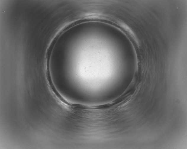 X0000076221376200609281101