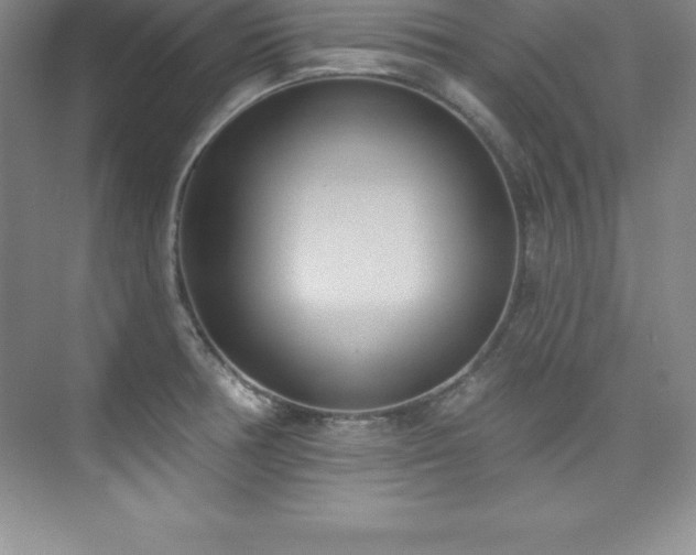X0000076221378200609281101