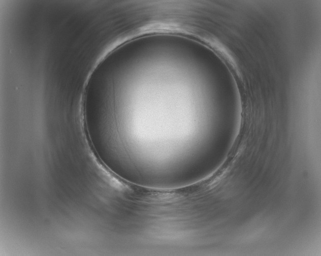 X0000076221382200609281101