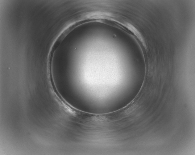 X0000076221384200609281101