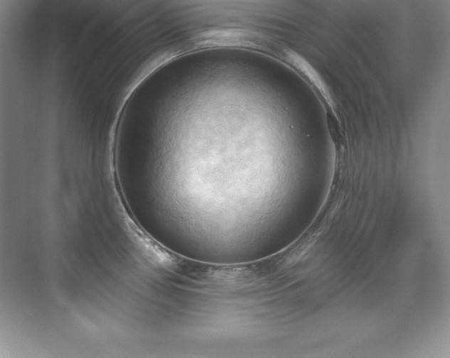 X0000076221386200609281101