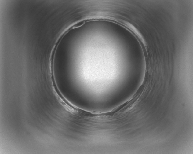 X0000076221388200609281101