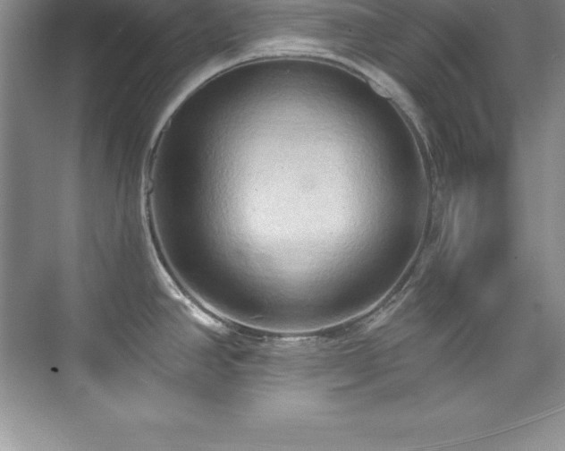 X0000076221390200609281101