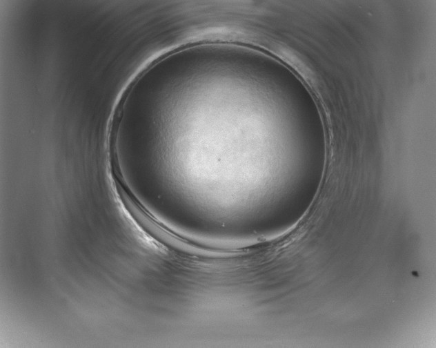 X0000076221392200609281101