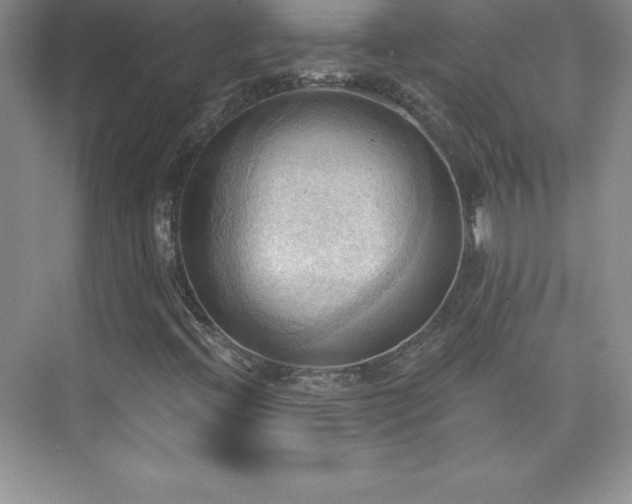 X0000076221396200609281100